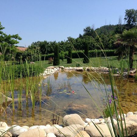 B&B Il Sogno Cossano Belbo Luaran gambar