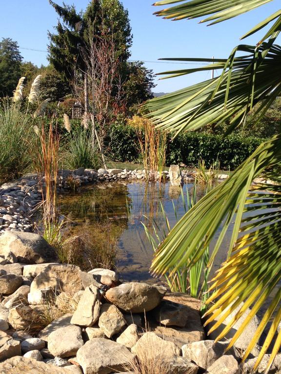 B&B Il Sogno Cossano Belbo Luaran gambar