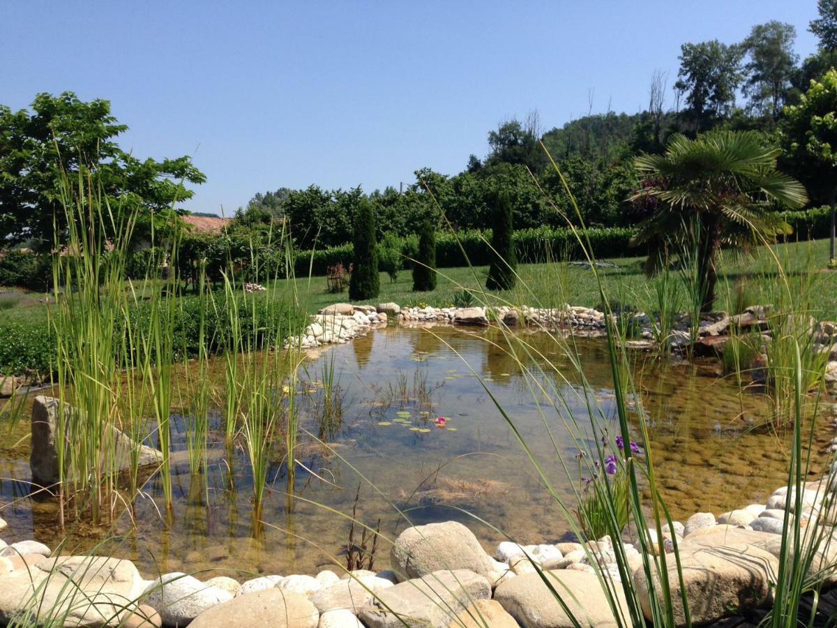 B&B Il Sogno Cossano Belbo Luaran gambar