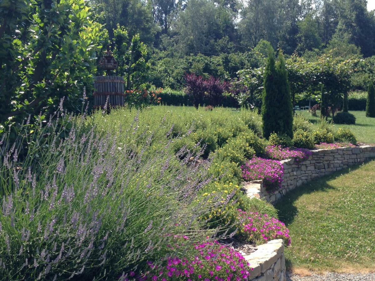 B&B Il Sogno Cossano Belbo Luaran gambar
